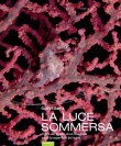 LA LUCE SOMMERSA