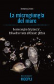 LA MICROGIUNGLA DEL MARE