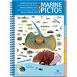 PACIFICO ASIATICO MARINE PICTOLIFE