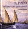 IL PINCO