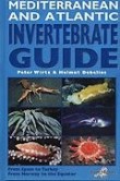 MEDITERRANEAN AND ATLANTIC INVERTEBRATE GUIDE