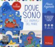 DOVE SONO GLI ANIMALI DEL MARE