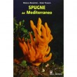 SPUGNE DEL MEDITERRANEO
