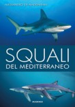 SQUALI DEL MARE MEDITERRANEO