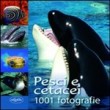 PESCI E CETACEI 1001 FOTOGRAFIE