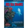 RED SEA SHARKS
