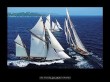 LES VOILES DE SAINT TROPEZ