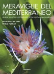 MERAVIGLIE DEL MEDITERRANEO